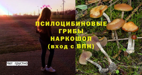 соль ск Аркадак