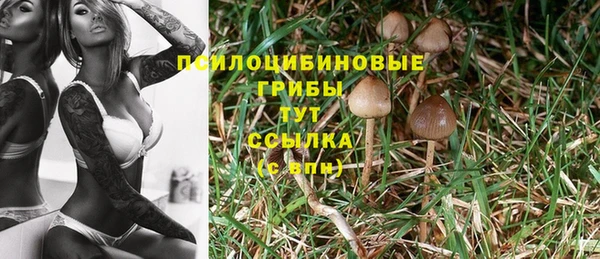 соль ск Аркадак