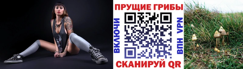MEGA зеркало  Кунгур  Галлюциногенные грибы ЛСД 